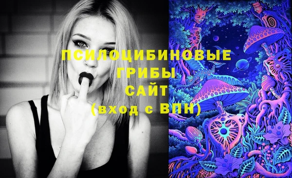 мяу мяу мука Абинск